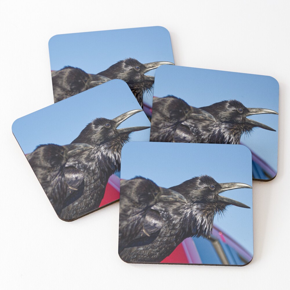 Item preview, Coasters (Set of 4) designed and sold by HMBPHOTO.