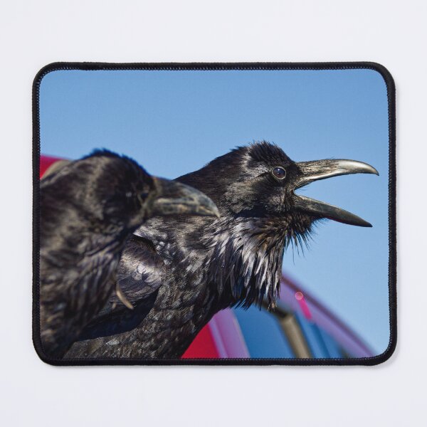 Item preview, Ravens designed and sold by HMBPHOTO.