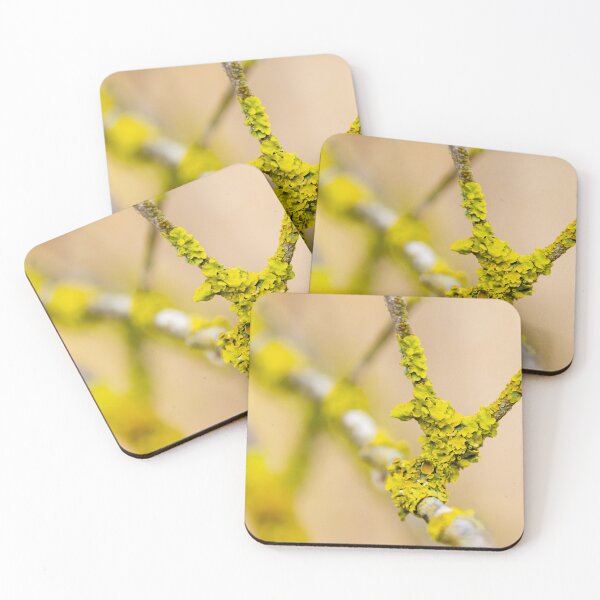 Item preview, Yellow Lichen Close-Up On Tree Branch With Textured Growth And Natural Detail designed and sold by Nmallia.