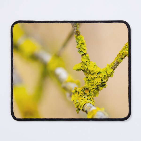 Item preview, Yellow Lichen Close-Up On Tree Branch With Textured Growth And Natural Detail designed and sold by Nmallia.