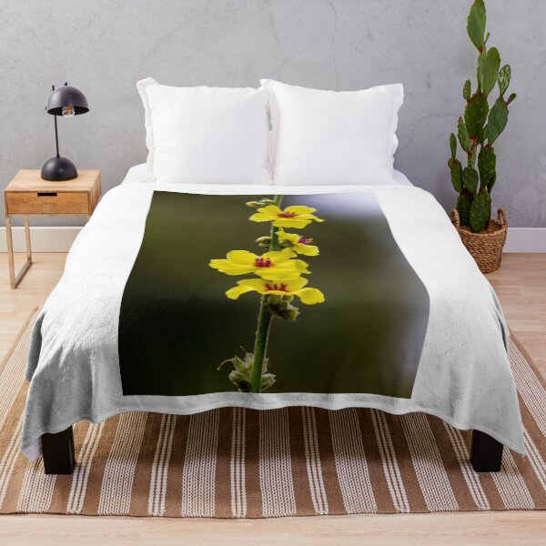Item preview, Vertical Cluster Of Yellow Mullein Flowers On Stem With Red Centers And Soft Bokeh Background designed and sold by Nmallia.