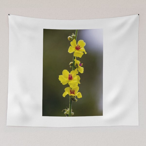 Item preview, Vertical Cluster Of Yellow Mullein Flowers On Stem With Red Centers And Soft Bokeh Background designed and sold by Nmallia.