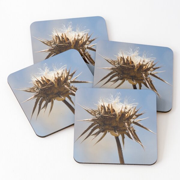 Item preview, Sunlit Dried Thistle Seed Head Against Blue Sky — Spiky Wildflower Macro Autumn Detail designed and sold by Nmallia.