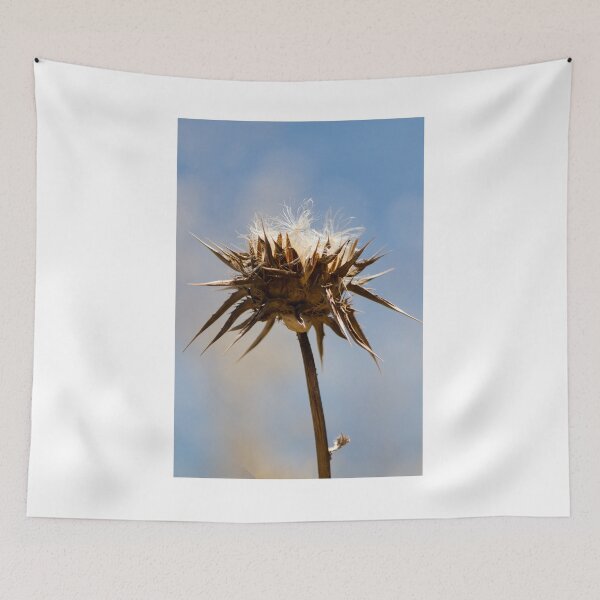 Item preview, Sunlit Dried Thistle Seed Head Against Blue Sky — Spiky Wildflower Macro Autumn Detail designed and sold by Nmallia.