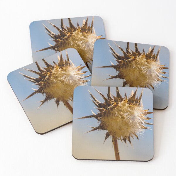 Item preview, Sunlit Dried Thistle Seed Head Against Blue Sky — Spiky Wildflower Macro Autumn Detail designed and sold by Nmallia.