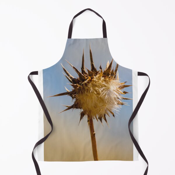 Item preview, Sunlit Dried Thistle Seed Head Against Blue Sky — Spiky Wildflower Macro Autumn Detail designed and sold by Nmallia.