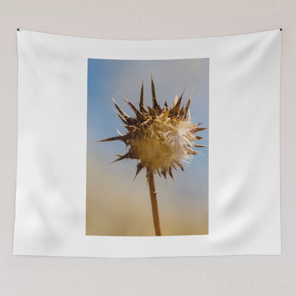 Item preview, Sunlit Dried Thistle Seed Head Against Blue Sky — Spiky Wildflower Macro Autumn Detail designed and sold by Nmallia.