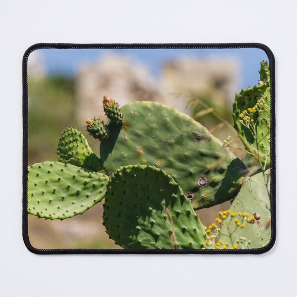 Item preview, Prickly Pear Cactus With Green Pads and Yellow Wildflowers in Sunny Mediterranean Landscape designed and sold by Nmallia.