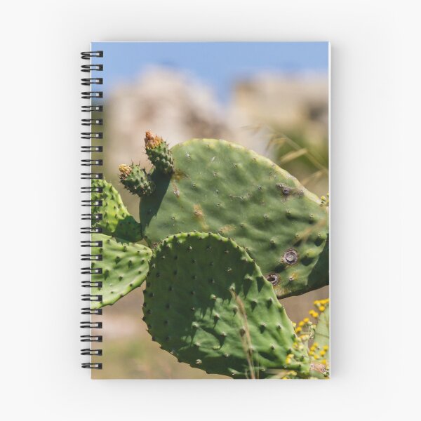 Item preview, Prickly Pear Cactus With Green Pads and Yellow Wildflowers in Sunny Mediterranean Landscape designed and sold by Nmallia.