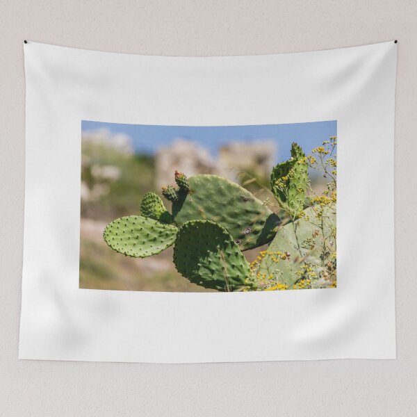 Item preview, Prickly Pear Cactus With Green Pads and Yellow Wildflowers in Sunny Mediterranean Landscape designed and sold by Nmallia.