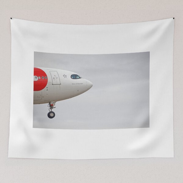 Item preview, Airliner landing designed and sold by HMBPHOTO.