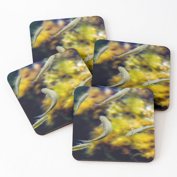 Item preview, Small Tropical Fish Swimming In Aquarium With Yellow Coral Background And Grouping designed and sold by Nmallia.