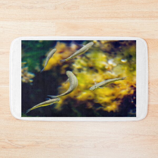 Item preview, Small Tropical Fish Swimming In Aquarium With Yellow Coral Background And Grouping designed and sold by Nmallia.