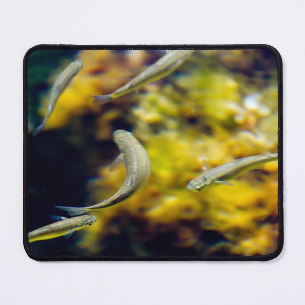 Item preview, Small Tropical Fish Swimming In Aquarium With Yellow Coral Background And Grouping designed and sold by Nmallia.