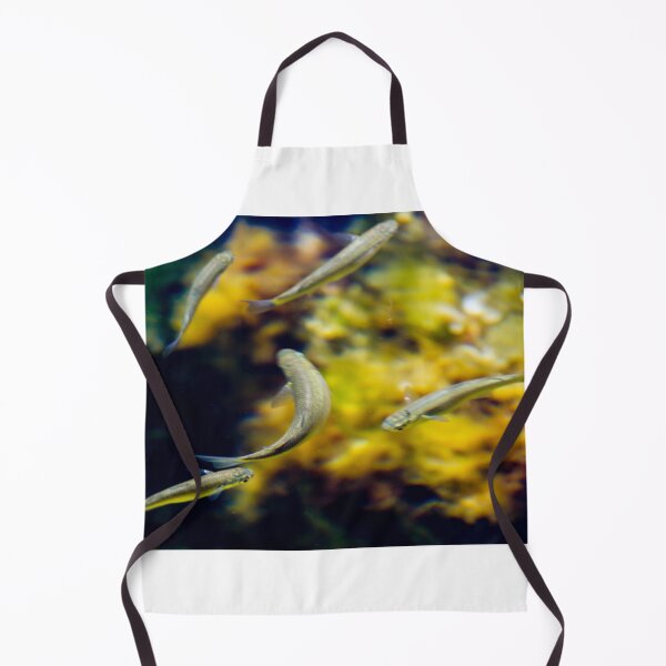 Item preview, Small Tropical Fish Swimming In Aquarium With Yellow Coral Background And Grouping designed and sold by Nmallia.
