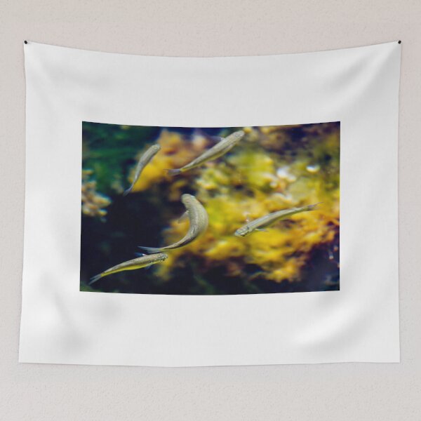 Item preview, Small Tropical Fish Swimming In Aquarium With Yellow Coral Background And Grouping designed and sold by Nmallia.