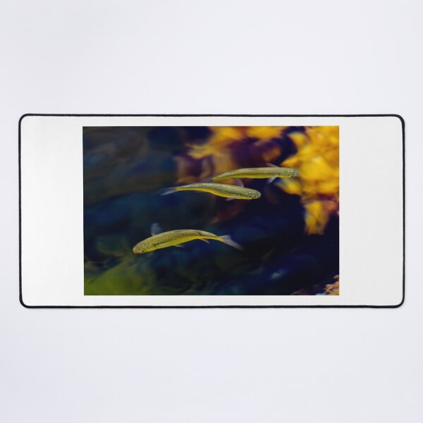 Item preview, Small Tropical Fish Swimming In Aquarium With Yellow Coral Background And Grouping designed and sold by Nmallia.