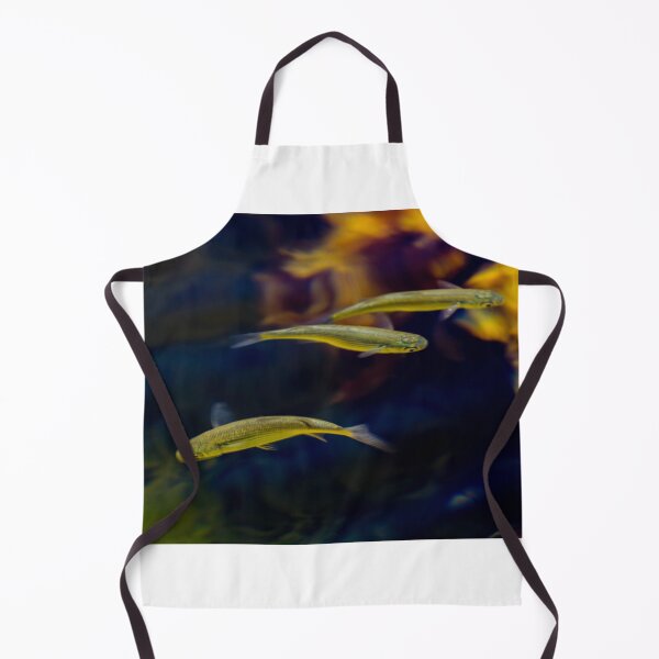 Item preview, Small Tropical Fish Swimming In Aquarium With Yellow Coral Background And Grouping designed and sold by Nmallia.