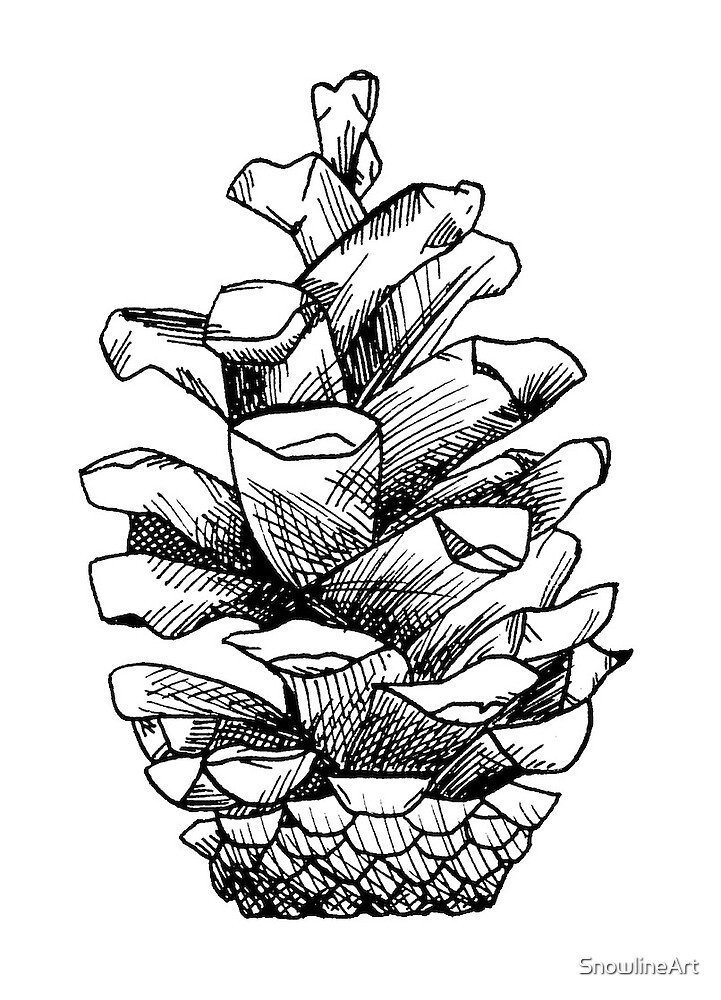 "Pinecone Original pine tree drawing in Pen and Ink Nature art