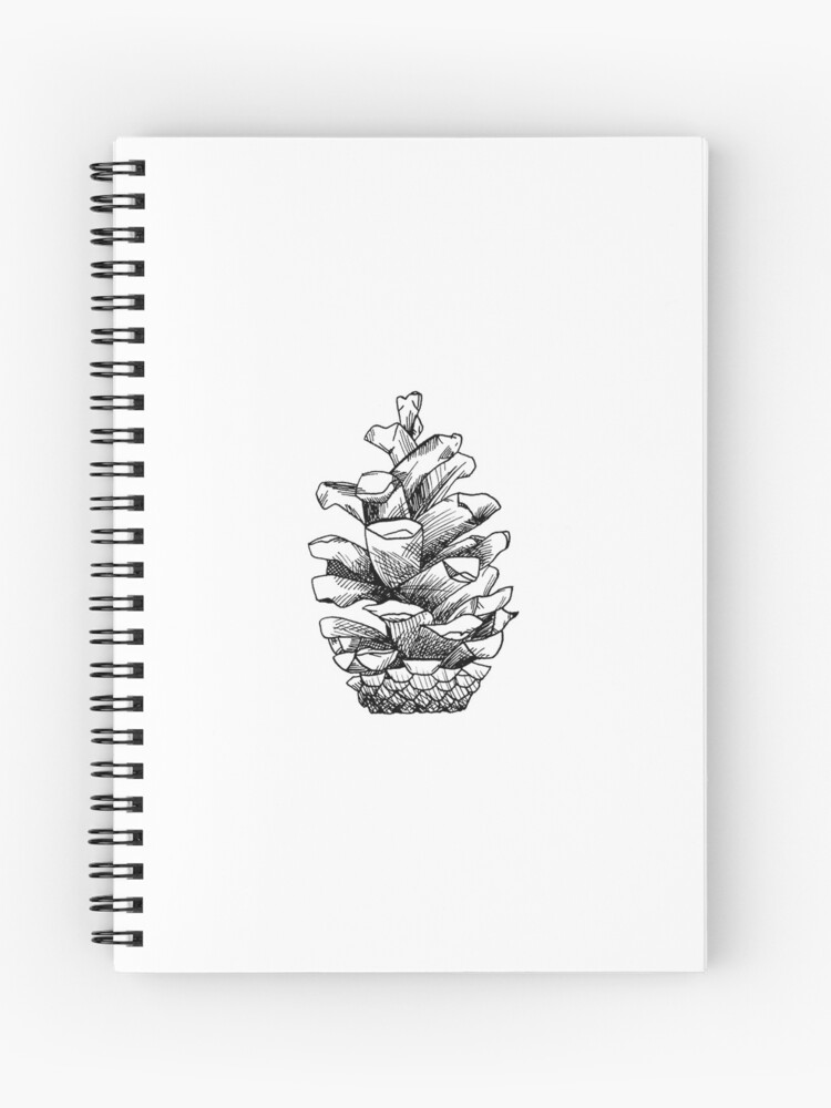 Conifer cone Drawing, pine cone, material, metal, pine Cone png | PNGWing