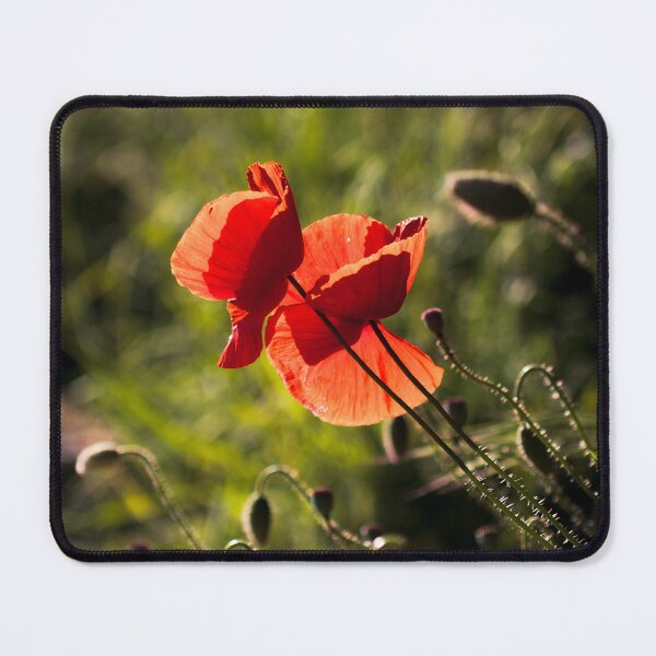 Item preview, Poppies IV designed and sold by likiska.