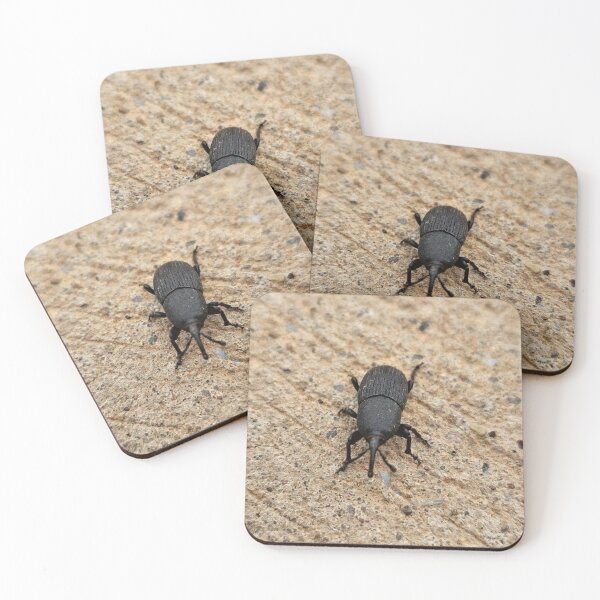 Item preview, Black beetle  designed and sold by Courtney Croxall.