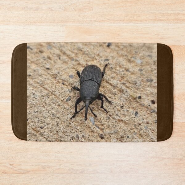 Item preview, Black beetle  designed and sold by Courtney Croxall.