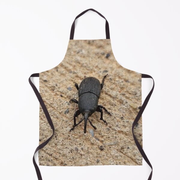 Item preview, Black beetle  designed and sold by Courtney Croxall.