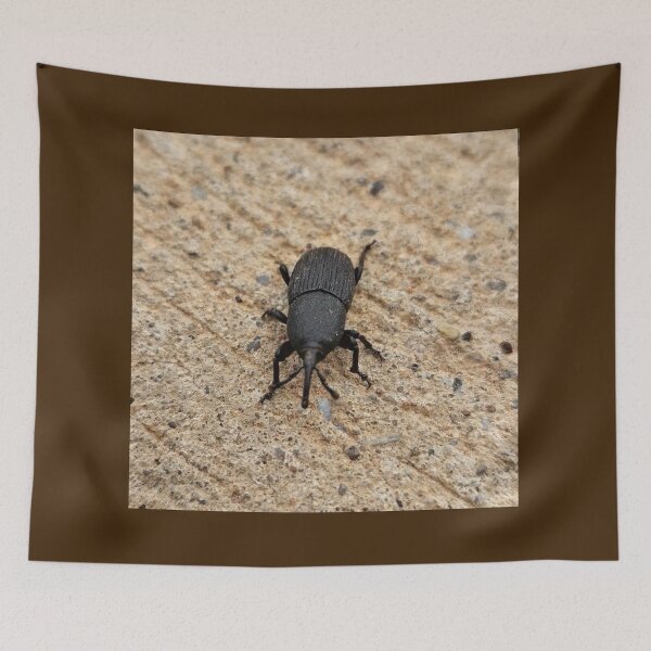 Item preview, Black beetle  designed and sold by Courtney Croxall.