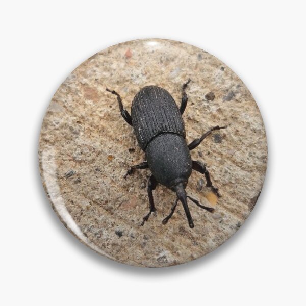 Item preview, Black beetle  designed and sold by Courtney Croxall.