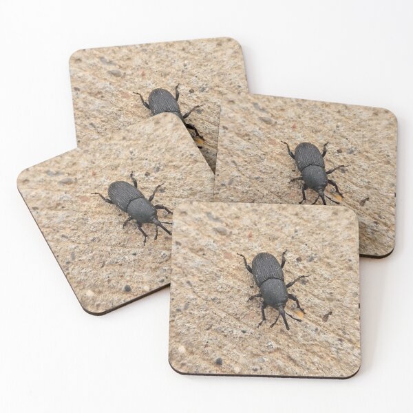 Item preview, Black beetle  designed and sold by Courtney Croxall.