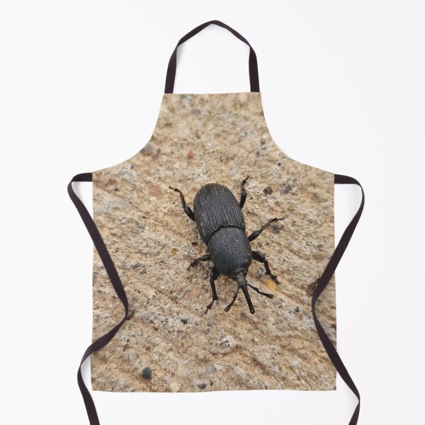 Item preview, Black beetle  designed and sold by Courtney Croxall.