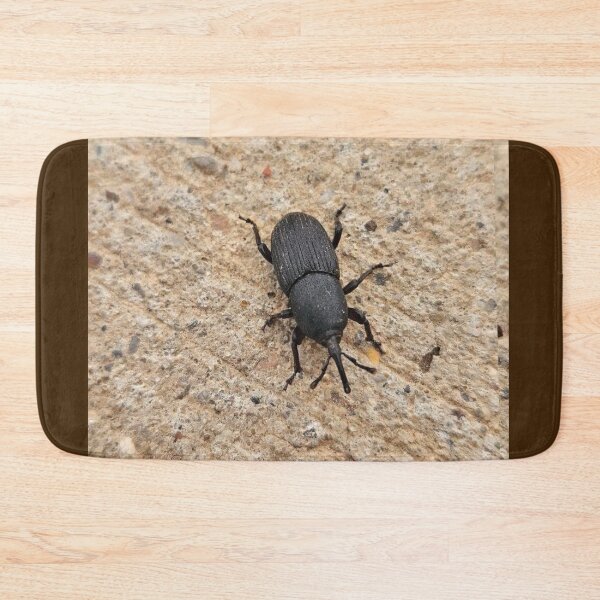 Item preview, Black beetle  designed and sold by Courtney Croxall.