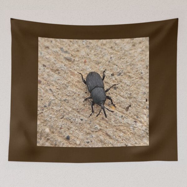Item preview, Black beetle  designed and sold by Courtney Croxall.
