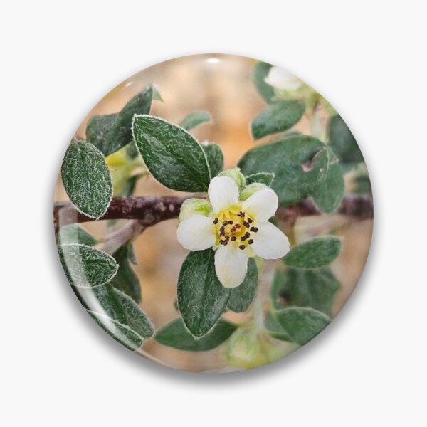 Aperçu de l'œuvre buisson fleuri créée et vendue par Courtney Croxall.