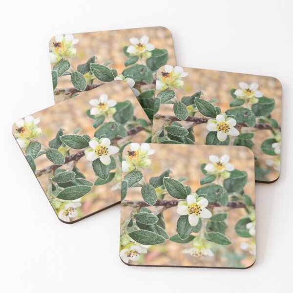 Item preview, arbusto de flores designed and sold by Courtney Croxall.