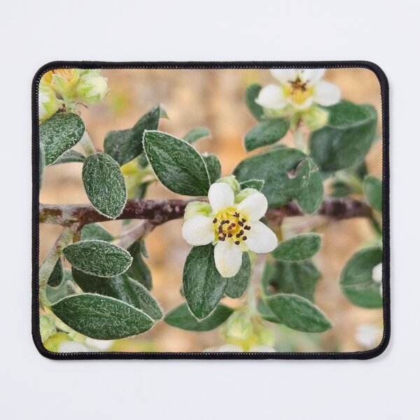 Aperçu de l'œuvre buisson fleuri créée et vendue par Courtney Croxall.