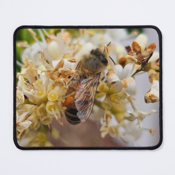 Item preview, Honeybee designed and sold by Courtney Croxall.
