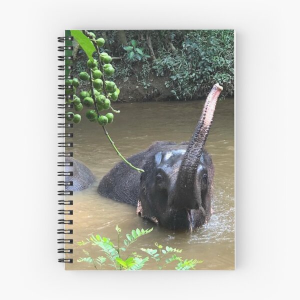 Item preview, Elephants  designed and sold by Courtney Croxall.