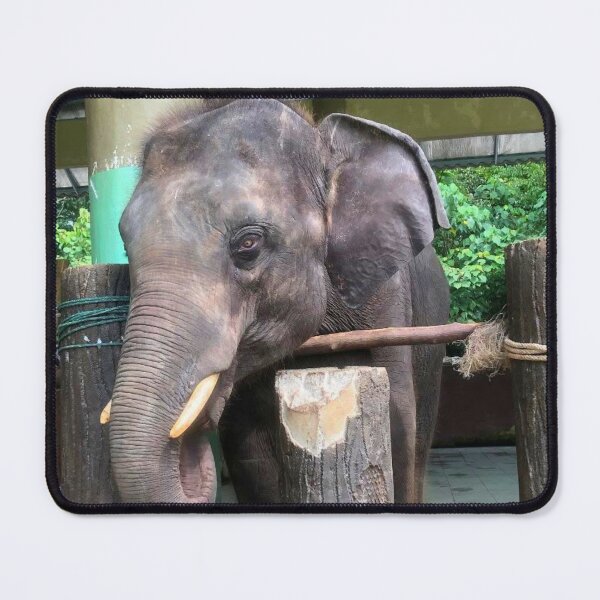 Item preview, Elephant designed and sold by Courtney Croxall.