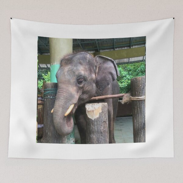 Item preview, Elephant designed and sold by Courtney Croxall.