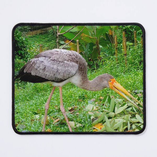 Item preview, Bird designed and sold by Courtney Croxall.