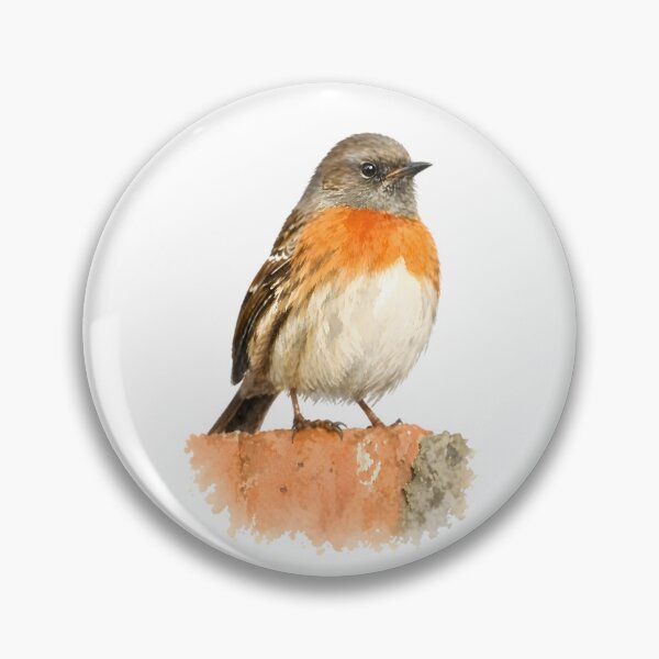 Item preview, Robin Accentor (Prunella rubeculoides) designed and sold by HOMETOWN86.