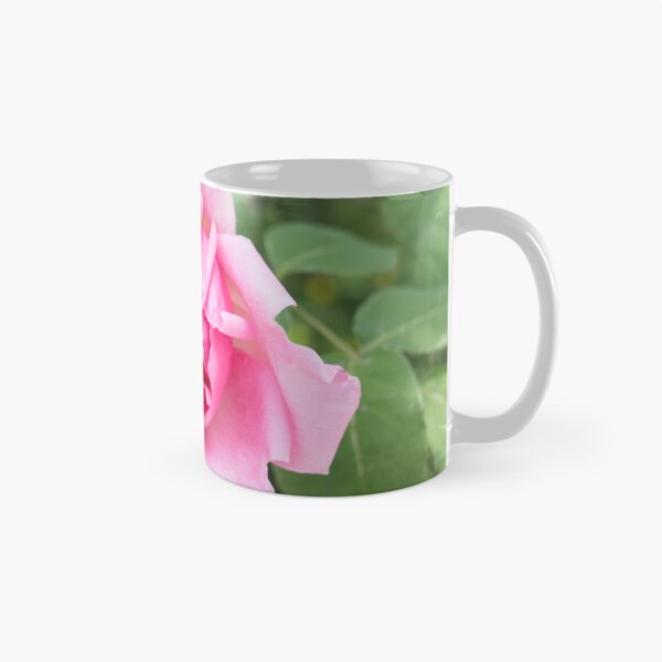 Item preview, Solitary Rosebud Unfurling in Soft Baby Pink designed and sold by Georgia Mizuleva.