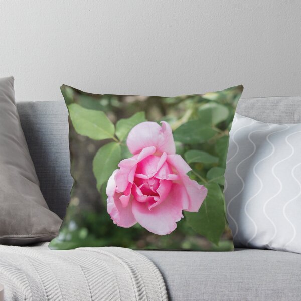 Item preview, Solitary Rosebud Unfurling in Soft Baby Pink designed and sold by Georgia Mizuleva.