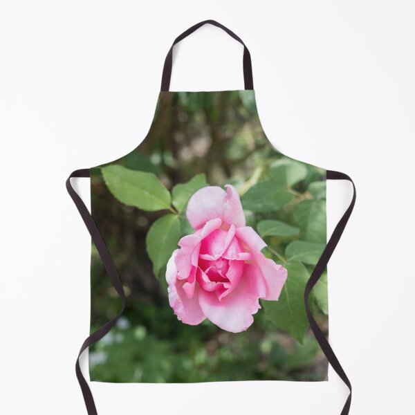 Item preview, Solitary Rosebud Unfurling in Soft Baby Pink designed and sold by Georgia Mizuleva.