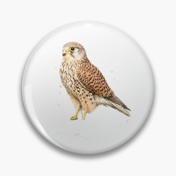Item preview, Eurasian Kestrel designed and sold by HOMETOWN86.