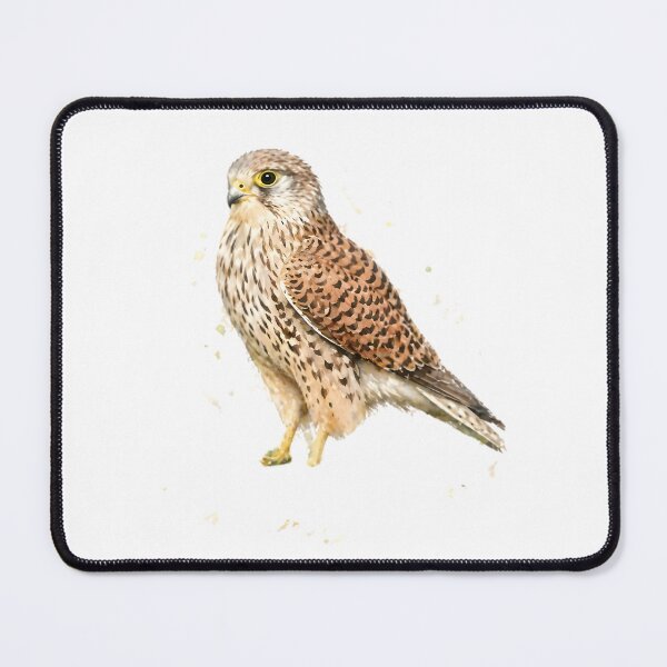 Item preview, Eurasian Kestrel designed and sold by HOMETOWN86.