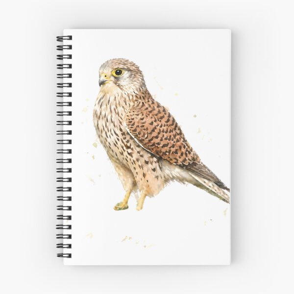 Item preview, Eurasian Kestrel designed and sold by HOMETOWN86.