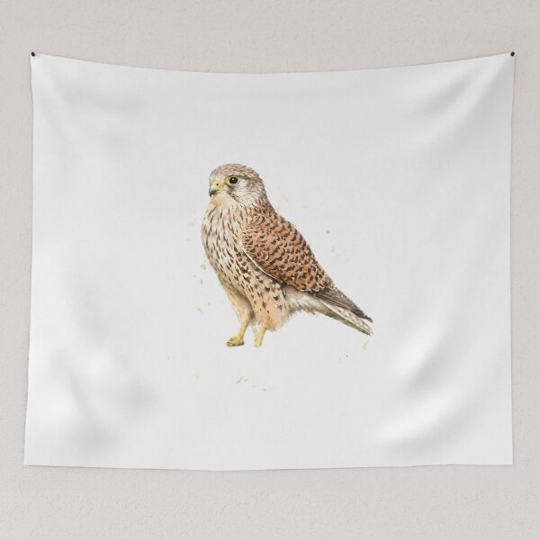 Item preview, Eurasian Kestrel designed and sold by HOMETOWN86.